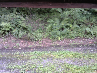 長野県菅平高原 ゆたか山荘 南側 2025/08/23 15:30