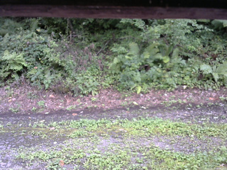 長野県菅平高原 ゆたか山荘 南側 2025/08/23 15:45