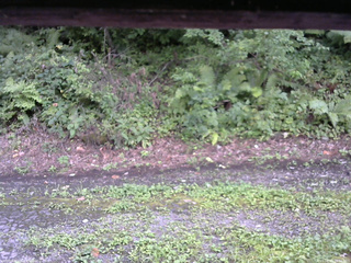 長野県菅平高原 ゆたか山荘 南側 2025/08/23 16:00