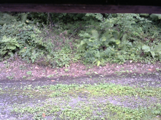 長野県菅平高原 ゆたか山荘 南側 2025/08/23 16:15