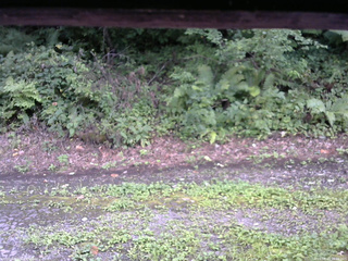 長野県菅平高原 ゆたか山荘 南側 2025/08/23 16:30