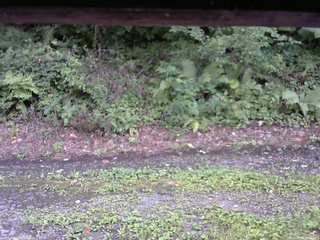 長野県菅平高原 ゆたか山荘 南側 2025/08/23 16:45