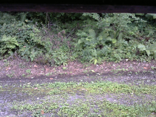 長野県菅平高原 ゆたか山荘 南側 2025/08/23 17:00