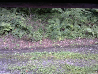 長野県菅平高原 ゆたか山荘 南側 2025/08/23 17:15