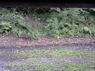 長野県菅平高原 ゆたか山荘 南側 2025/08/23 17:30