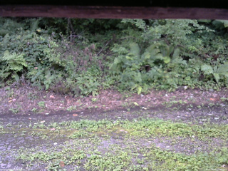 長野県菅平高原 ゆたか山荘 南側 2025/08/23 17:45