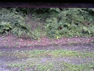 長野県菅平高原 ゆたか山荘 南側 2025/08/23 18:00