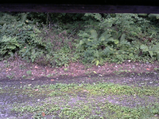 長野県菅平高原 ゆたか山荘 南側 2025/08/23 18:15