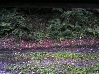 長野県菅平高原 ゆたか山荘 南側 2025/08/23 18:30