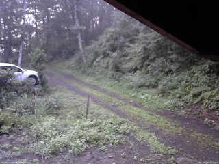 長野県菅平高原 ゆたか山荘 東側(坂下) 2025/08/23 05:15