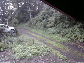 長野県菅平高原 ゆたか山荘 東側(坂下) 2025/08/23 05:30