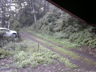 長野県菅平高原 ゆたか山荘 東側(坂下) 2025/08/23 05:45