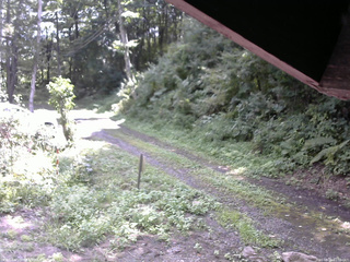 長野県菅平高原 ゆたか山荘 東側(坂下) 2025/08/23 11:00