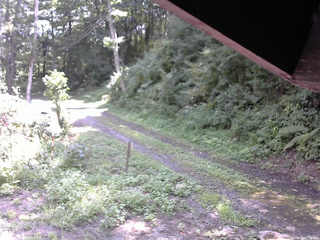 長野県菅平高原 ゆたか山荘 東側(坂下) 2025/08/23 11:15