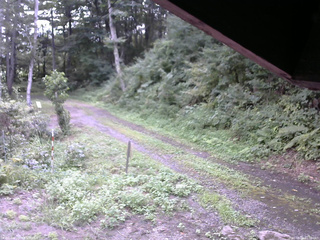 長野県菅平高原 ゆたか山荘 東側(坂下) 2025/08/23 11:30