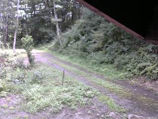 長野県菅平高原 ゆたか山荘 東側(坂下) 2025/08/23 12:00