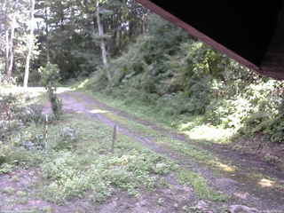 長野県菅平高原 ゆたか山荘 東側(坂下) 2025/08/23 12:45
