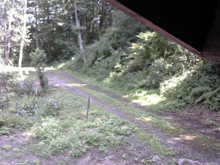 長野県菅平高原 ゆたか山荘 東側(坂下) 2025/08/23 13:00