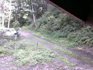 長野県菅平高原 ゆたか山荘 東側(坂下) 2025/08/23 13:45