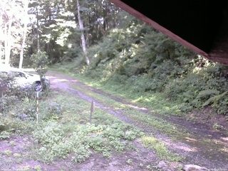 長野県菅平高原 ゆたか山荘 東側(坂下) 2025/08/23 14:00