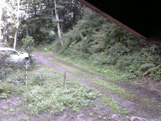 長野県菅平高原 ゆたか山荘 東側(坂下) 2025/08/23 15:30