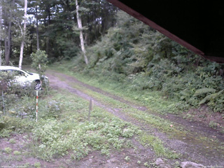 長野県菅平高原 ゆたか山荘 東側(坂下) 2025/08/23 17:45