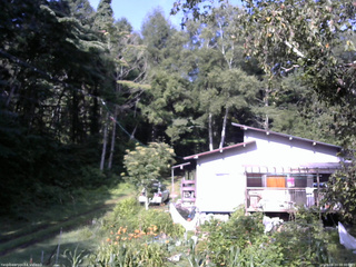 長野県菅平高原 ゆたか山荘 西側(坂上) 2025/08/23 08:00