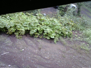 長野県菅平高原 ゆたか山荘 駐車場 2025/08/23 06:15