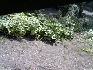長野県菅平高原 ゆたか山荘 駐車場 2025/08/23 08:30