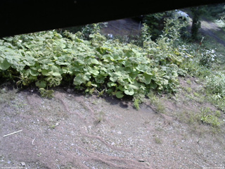 長野県菅平高原 ゆたか山荘 駐車場 2025/08/23 09:00