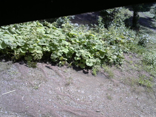 長野県菅平高原 ゆたか山荘 駐車場 2025/08/23 09:30