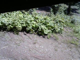 長野県菅平高原 ゆたか山荘 駐車場 2025/08/23 09:45