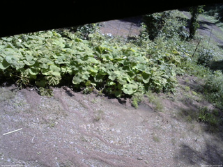長野県菅平高原 ゆたか山荘 駐車場 2025/08/23 10:15