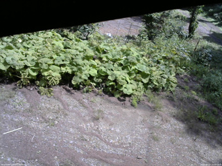 長野県菅平高原 ゆたか山荘 駐車場 2025/08/23 10:45