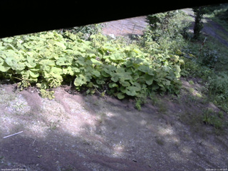 長野県菅平高原 ゆたか山荘 駐車場 2025/08/23 11:45