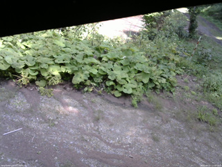 長野県菅平高原 ゆたか山荘 駐車場 2025/08/23 12:45