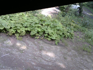 長野県菅平高原 ゆたか山荘 駐車場 2025/08/23 13:15
