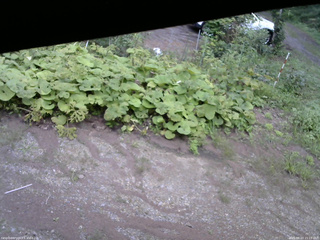 長野県菅平高原 ゆたか山荘 駐車場 2025/08/23 15:15