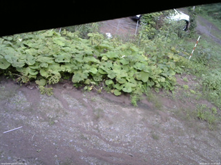 長野県菅平高原 ゆたか山荘 駐車場 2025/08/23 16:30