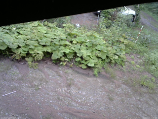 長野県菅平高原 ゆたか山荘 駐車場 2025/08/23 17:45