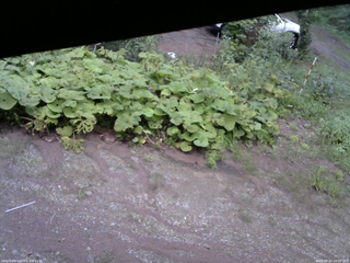 長野県菅平高原 ゆたか山荘 駐車場 2025/08/23 18:00