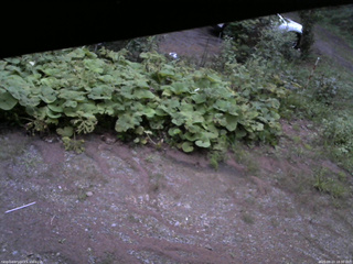 長野県菅平高原 ゆたか山荘 駐車場 2025/08/23 18:30