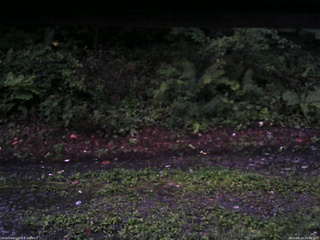 長野県菅平高原 ゆたか山荘 南側 2025/08/24 05:00