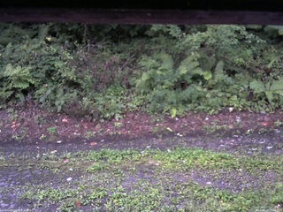 長野県菅平高原 ゆたか山荘 南側 2025/08/24 05:15