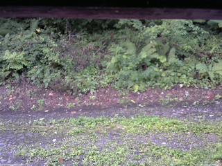 長野県菅平高原 ゆたか山荘 南側 2025/08/24 05:30