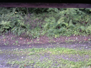 長野県菅平高原 ゆたか山荘 南側 2025/08/24 06:00