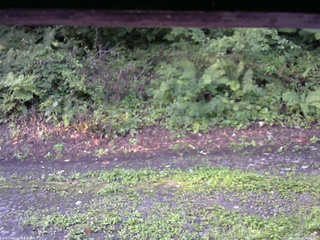 長野県菅平高原 ゆたか山荘 南側 2025/08/24 06:15