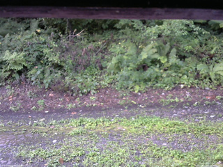 長野県菅平高原 ゆたか山荘 南側 2025/08/24 06:30