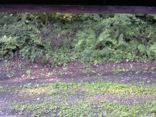 長野県菅平高原 ゆたか山荘 南側 2025/08/24 06:45