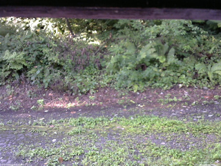 長野県菅平高原 ゆたか山荘 南側 2025/08/24 07:00